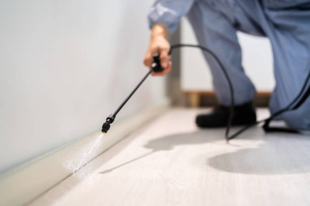 Licensed Rodent Control service in White County County, GA - Nex Pest Control